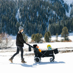 Ellavate Electric Wagon